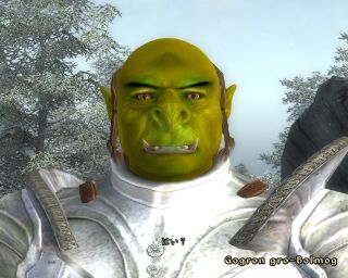 sn_gogron.jpg