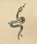 birth_serpent.gif